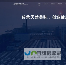 中炬高新 JonjeE HI-TECH