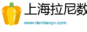 上海拉尼数字科技有限公司